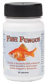 Fish Fungus