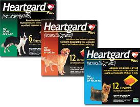 Heartgard Plus