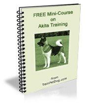 Free training Course for Akita