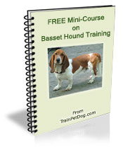 Free training Course for Basset Hounds Free training Course for Basset Hounds