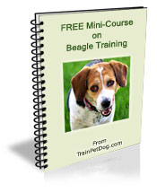Free training Course for Beagles