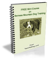 Free training Course for Bernese Mountain Dogs Free training Course for Bernese Mountain Dogs