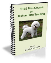 Free training Course for Bichon Frise