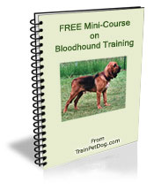 Free training Course for Bloodhounds