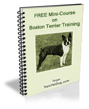 Free training Course for Boston Terriers