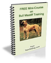 Free training Course for Bull Mastiffs