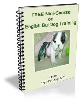 Free training Course for Bulldogs Free training Course for Bulldogs