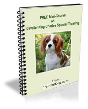 Free training Course for Cavalier King Charles Spaniels