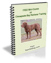 Free training Course for Chesapeake Bay Retrievers