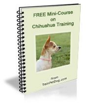 Free training Course for Chihuahuas