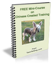 Free training Course for Chinese Cresteds