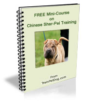 Free training Course for Chinese Shar Peis