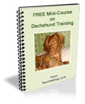 Free training Course for Dachshunds