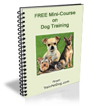 FREE Dog Training Mini Course
