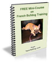 Free training Course for French Bulldogs