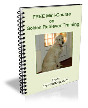 Free training Course for Golden Retrievers