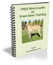 Free training Course for Great Danes