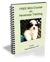 Free training Course for Havanese