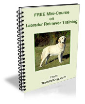 Free training Course for Labrador Retrievers