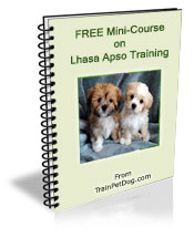 Free training Course for Lhasa Apso