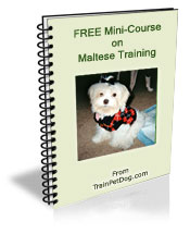 Free training Course for Maltese