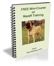 Free training Course for Mastiff