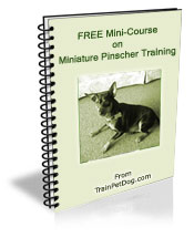 Free training Course for Miniature Pinschers
