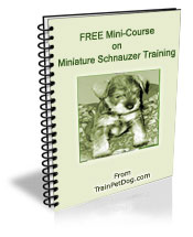 Free training Course for Miniature Schnauzers
