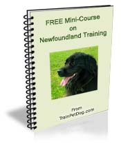 Free training Course for Newfoundlands