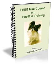 Free training Course for Papillons