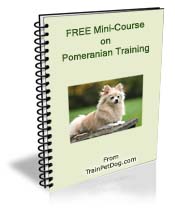 Free training Course for Pomeranianns