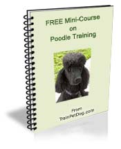 Free training Course for Poodles
