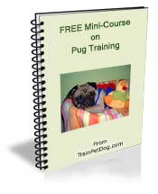 Free training Course for Pug