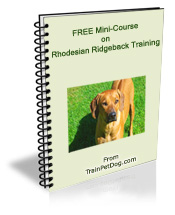 Free training Course for Rhodesian Ridgebacks
