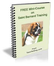 Free training Course for Saint Bernards