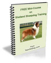 Free training Course for Shetland Sheepdogs