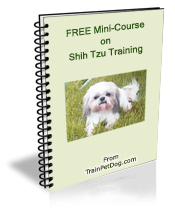 Free training Course for Shih Tzus