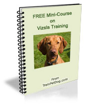 Free training Course for Vizslas