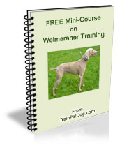 Free training Course for Weimaraners