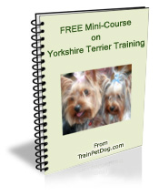 Free training Course for Yorkshire Terriers
