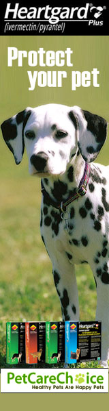 PetCareChoice is a leading online pet pharmacy