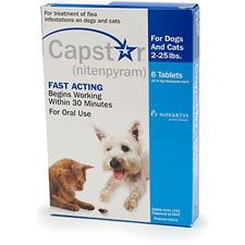 Capstar (Nitenpyram)
