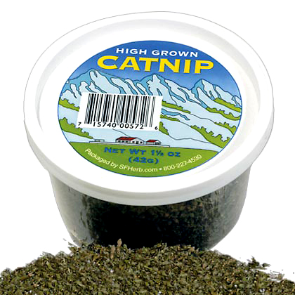 Catnip