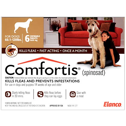 Comfortis for Dogs - Pet Meds