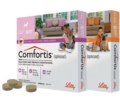 Comfortis for Dogs