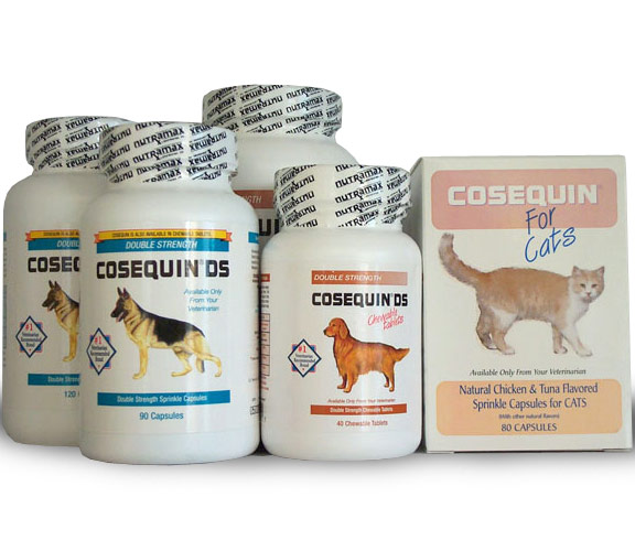 Cosequin for Dogs