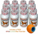 12-PACK Cosequin DS 250 Count (3000 tablets) CHEWABLES
