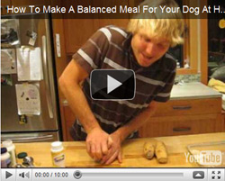 FREE VIDEO FREE VIDEO