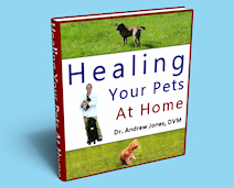 Healing Your Pets at Home Healing Your Pets at Home