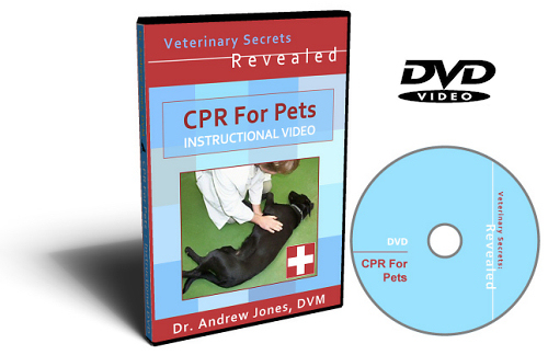 Veterinary Secrets Revealed DVD
